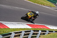 cadwell-no-limits-trackday;cadwell-park;cadwell-park-photographs;cadwell-trackday-photographs;enduro-digital-images;event-digital-images;eventdigitalimages;no-limits-trackdays;peter-wileman-photography;racing-digital-images;trackday-digital-images;trackday-photos